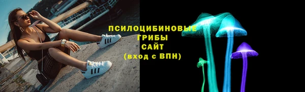 дживик Абинск