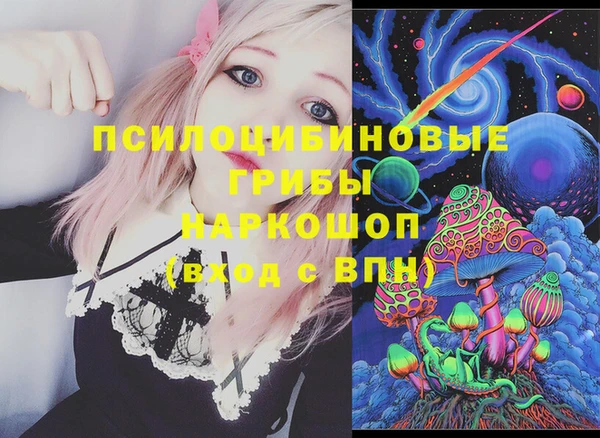 дживик Абинск