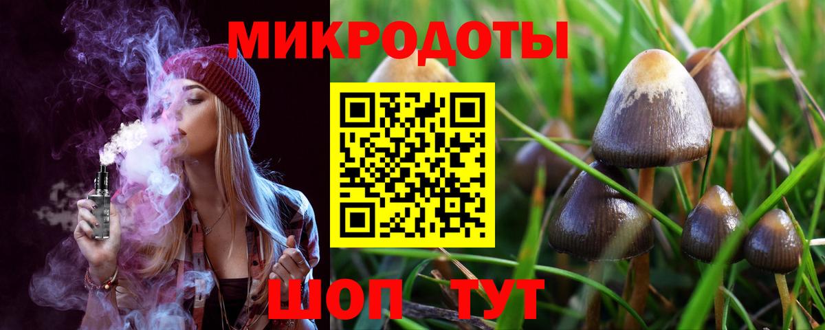 Псилоцибиновые грибы прущие грибы Кандалакша