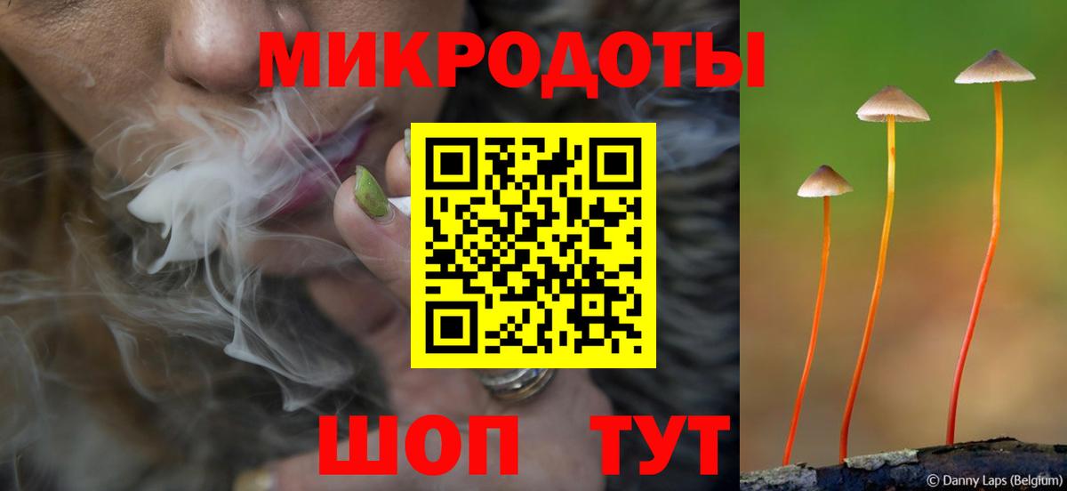 Галлюциногенные грибы Psilocybe  Вход с VPN  Кандалакша  Псилоцибиновые грибы мицелий 